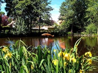 Frohe Pfingsten